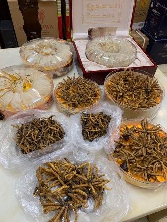 天津冬虫夏草回收