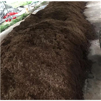 广东天然泥炭土