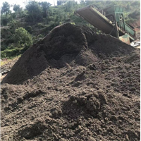 广东泥炭土批发厂家
