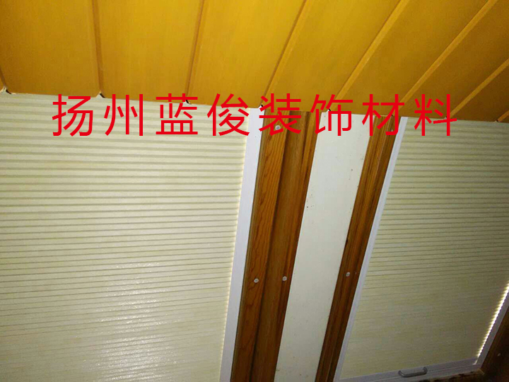 蜂巢天窗