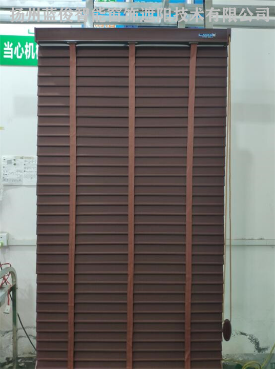 布百叶彩丝帘