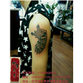 晋江纹身店哪家好-东石纹身安海纹身