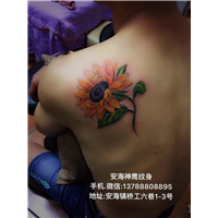 安海纹身价格多少 