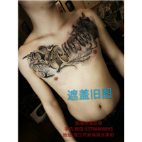 安海胸口纹身 