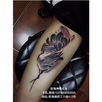 安海洗纹身价格 