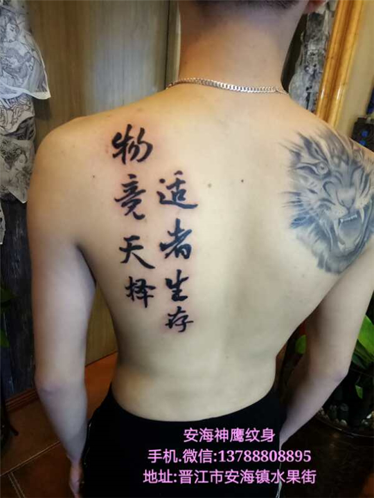 安海背部文字纹身