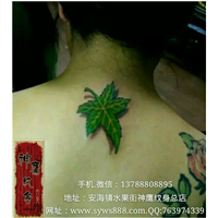 安海哪里有纹身店纹身