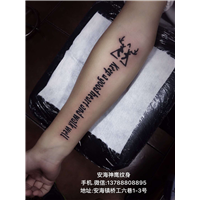 安海专业纹身 