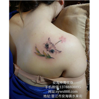 安海洗纹身05 
