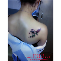 安海神鹰纹身工作室 