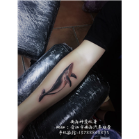 安海纹身洗纹身