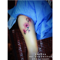 安海纹身哪家好 