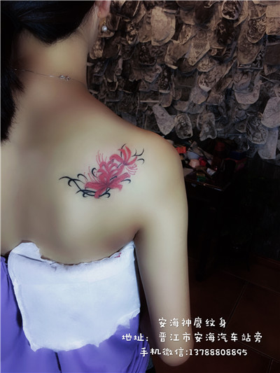 安海纹身工作室 