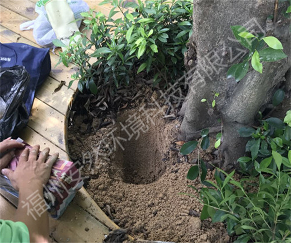 福州灭白蚁公司
