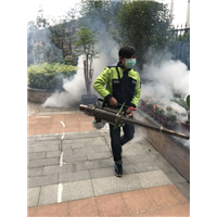福州床垫除螨▏福州捅马蜂窝 