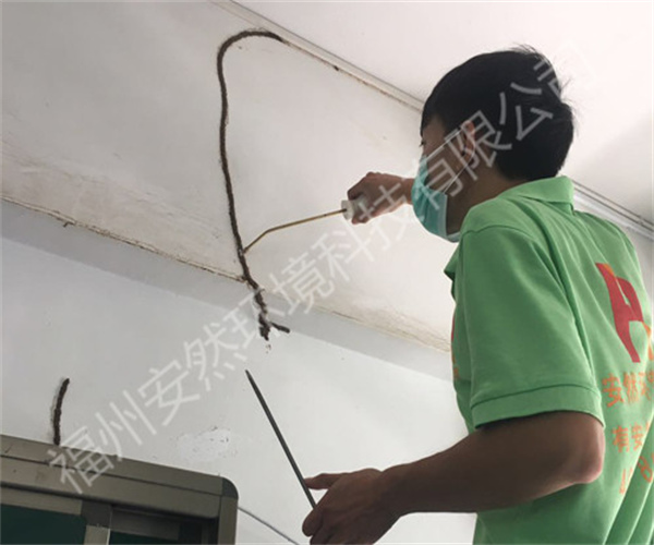 福州专业灭白蚁