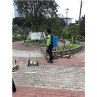 福州白蚁防治公司 