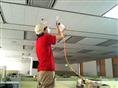福州灭老鼠公司￥福州白蚁防治公司 