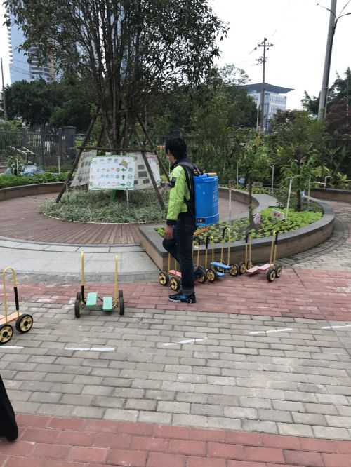 福州白蚁防治公司 