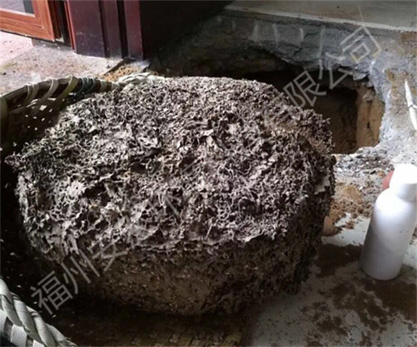 福州灭马蜂