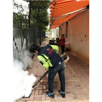 福州白蚁防治▏福州灭四害▏ 
