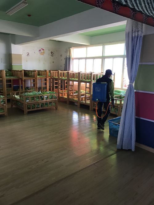 福州白蚁防治公司¶福州园林虫害防治 