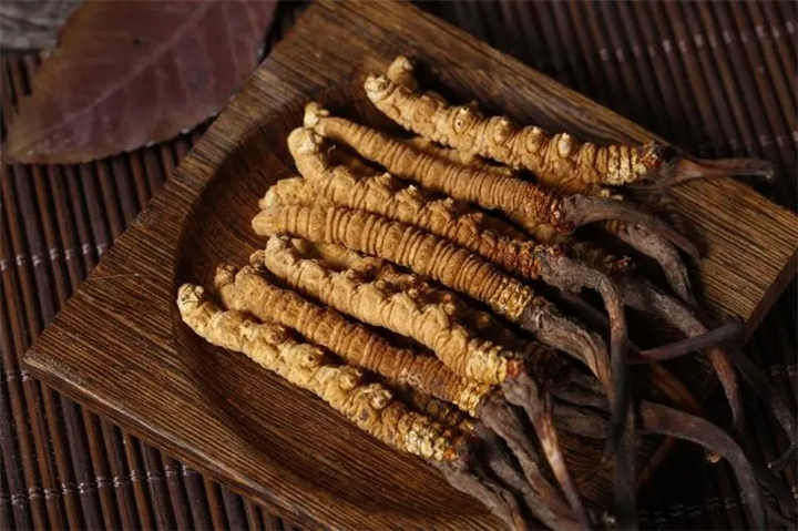 昆明冬虫夏草回收