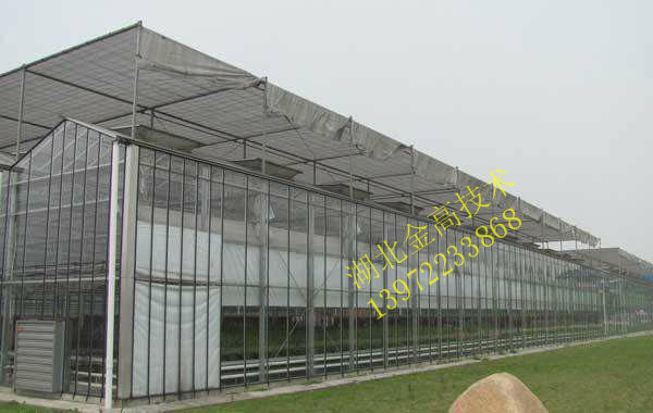 4、襄阳智能温控大棚搭建公司