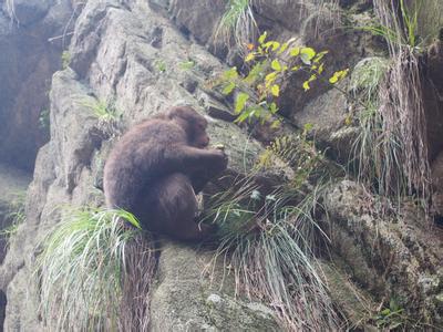 九华山旅游包车哪里便宜-九华山旅游包车电话 