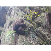 九华山旅游包车哪里便宜-九华山旅游包车电话 