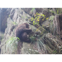 九华山旅游包车 