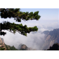 九华山导游服务预定 