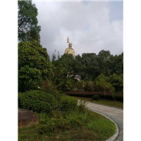 九华山代驾 