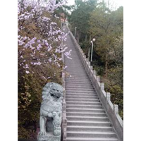 九华山旅游租车公司-九华山旅游包车哪家好 