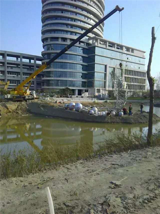 邗江区吊车出租的集装箱跨运车