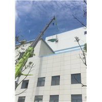 仪征吊车租赁前检测起重机