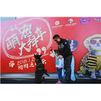 昆明训犬|昆明训宠物犬