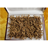 呼和浩特冬虫夏草回收讲解茅台酒适合收藏