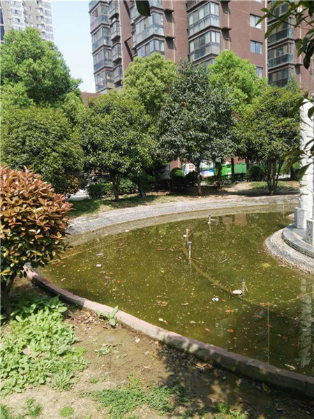 南阳养老院哪家**