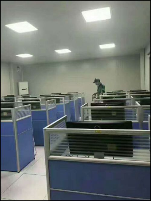 安康甲醛治理正规的公司