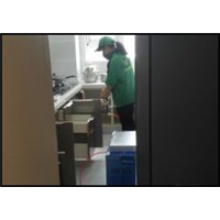 安康除甲醛电话多少