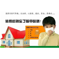 安康新房空气治理公司