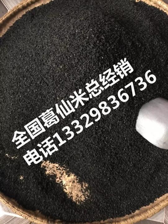 葛仙米|葛仙米价格-全国葛仙米总经销