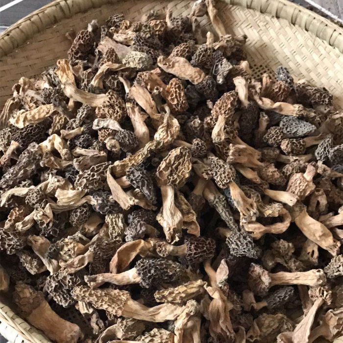 羊肚菌走马镇羊肚菌干货