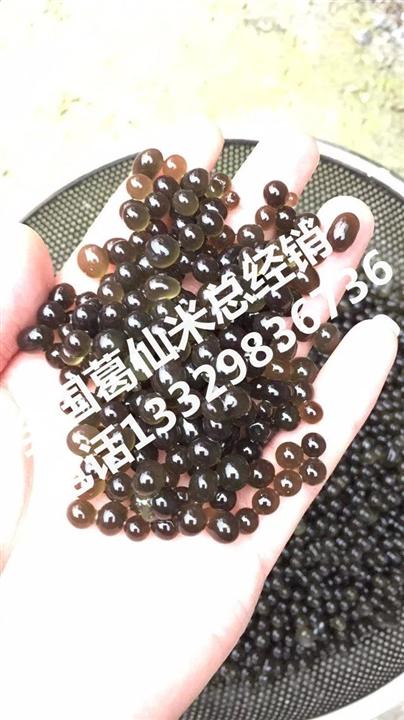 葛仙米批发|葛仙米供应-葛仙米总经销