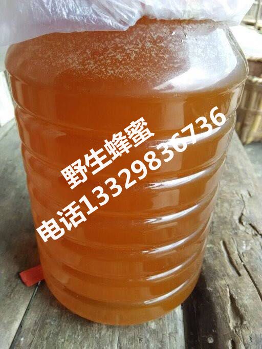 野生蜂蜜|野生蜂蜜批发|湖北野生蜂蜜