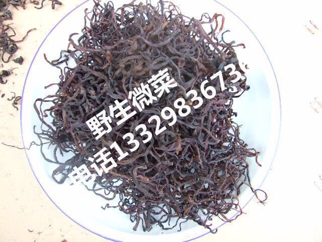 野生微菜价格|野生微菜经销|恩施野生微菜