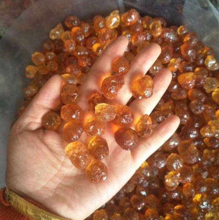 走马镇特产干桃胶