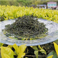 鹤峰精品茶叶