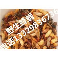 野生蜂蛹|野生蜂蛹价格|野生蜂蛹批发